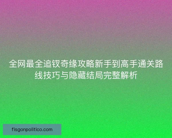 全网最全追钗奇缘攻略新手到高手通关路线技巧与隐藏结局完整解析